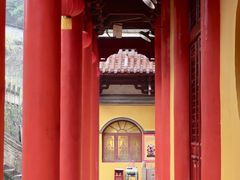 -云碧峰国家森林公园