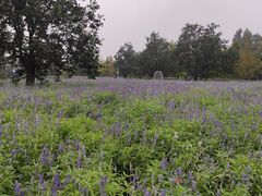 -静之湖湖畔餐厅
