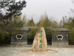 -阳台山自然风景区