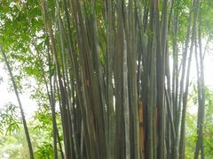 -成都杜甫草堂博物馆