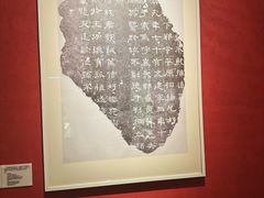 -包头博物馆