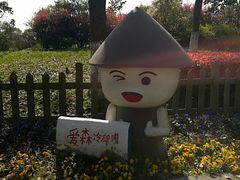-上海都市菜园