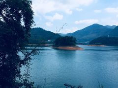 -广州市流溪河国家森林公园