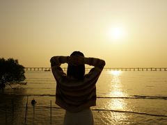 -宝安西湾红树林湿地公园