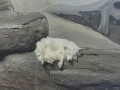 -梦幻海洋王国(吾悦广场张家港店)