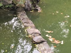 -杭州西湖风景名胜区-三生石