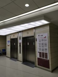 -复旦大学附属妇产科医院(杨浦院区)