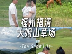 -大姆山草场