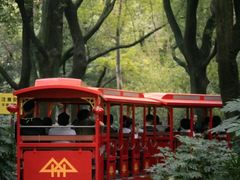 -上海共青森林公园