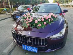 -蚂蚁婚车
