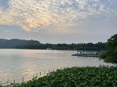 -湖畔居茶楼(湖滨店)