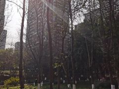 -重庆彩云湖湿地公园