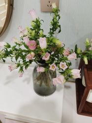 -YESIDO椰岛美容