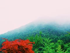 -千岛湖石林
