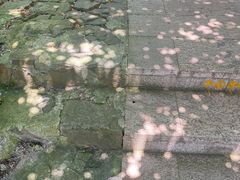-缥缈峰景区