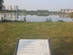 -澹台湖公园