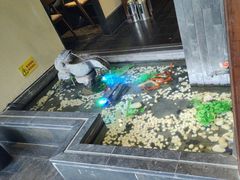 -煜丰汴京烤鸭(福彩路店)