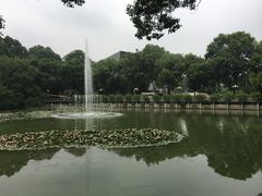 -武汉大学-樱园