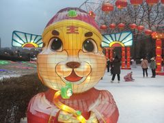 -沈阳奥体冰雪嘉年华