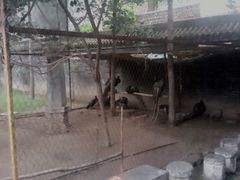 -罔极寺