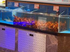 -鼎原力量东北吊炉烧烤(幸福街店)