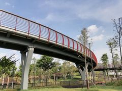 -王借岗森林公园