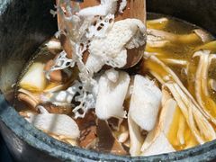 -芸山季·云南山珍菌火锅(南翔印象城MEGA店)