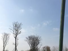 -府河摄影公园