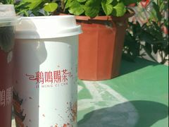 抹茶奶盖-鸡鸣赐茶(鸡鸣寺路店)