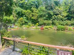 -深圳仙湖植物园