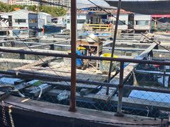 -蓝湾碧波·老字号·疍家非遗海上餐厅