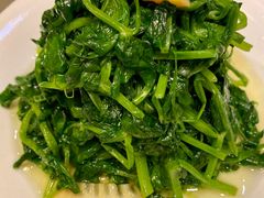 清炒豆苗-无名居(西直门总店)