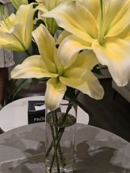 -FranckProvost梵珀·巴黎     法国美发沙龙