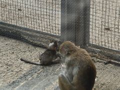 -齐齐哈尔龙沙动植物园