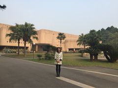 恐龙博物馆-自贡恐龙博物馆