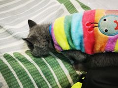 -荔康动物医院(康王北路店)