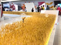 -百威中国啤酒博物馆