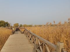 -野鸭湖国家湿地公园