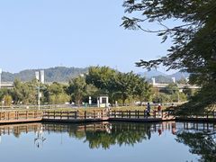 -坪山湿地公园
