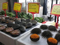 -蚝专家(北滘店)