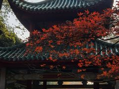 -岳麓山风景名胜区