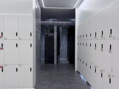 -章鱼健身 Octopus