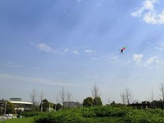 -九里河湿地公园