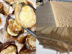 -日照灯塔风景区