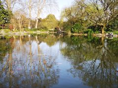 -西湖外事游船(花港观鱼码头)