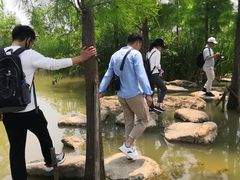 -上海长兴岛郊野公园