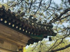 -潭柘寺景区