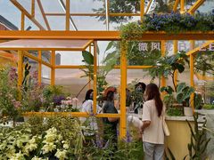 -东莞松山湖万象汇