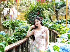 -正佳雨林生态植物园