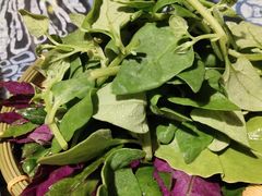 -慢丽江·云南野生菌土鸡锅(付家庄店)